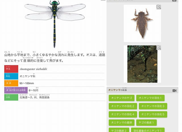 まなびwithデジタル教材
